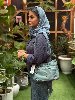 كيف بوبو (BOBO) كد 1531