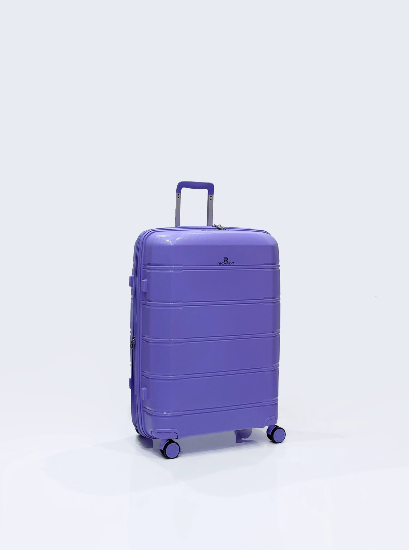 چمدان سایز بزرگ ریکاردو