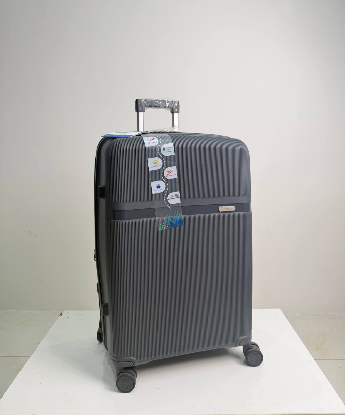 تصویری از چمدان زده دار هرموسا سایز بزرگ طوسی