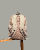 کوله پشتی مدرسه  کریس بلا CRISBELLA کد003