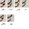 جا کارتی و کیف پول جی ال شی XL039
